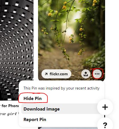 How To See Hidden Pins On Pinterest