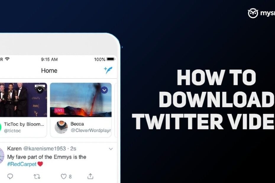 Save Twitter videos Camera Roll